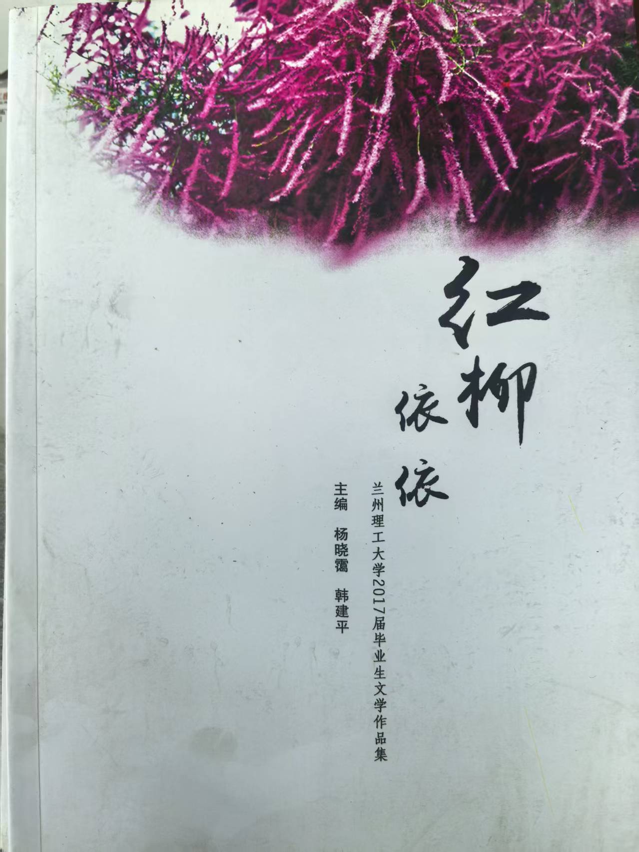 兰州理工大学2017届毕业生文学作品集